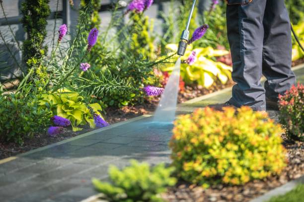Best Dumpster Area Cleaning  in Oakland, NE